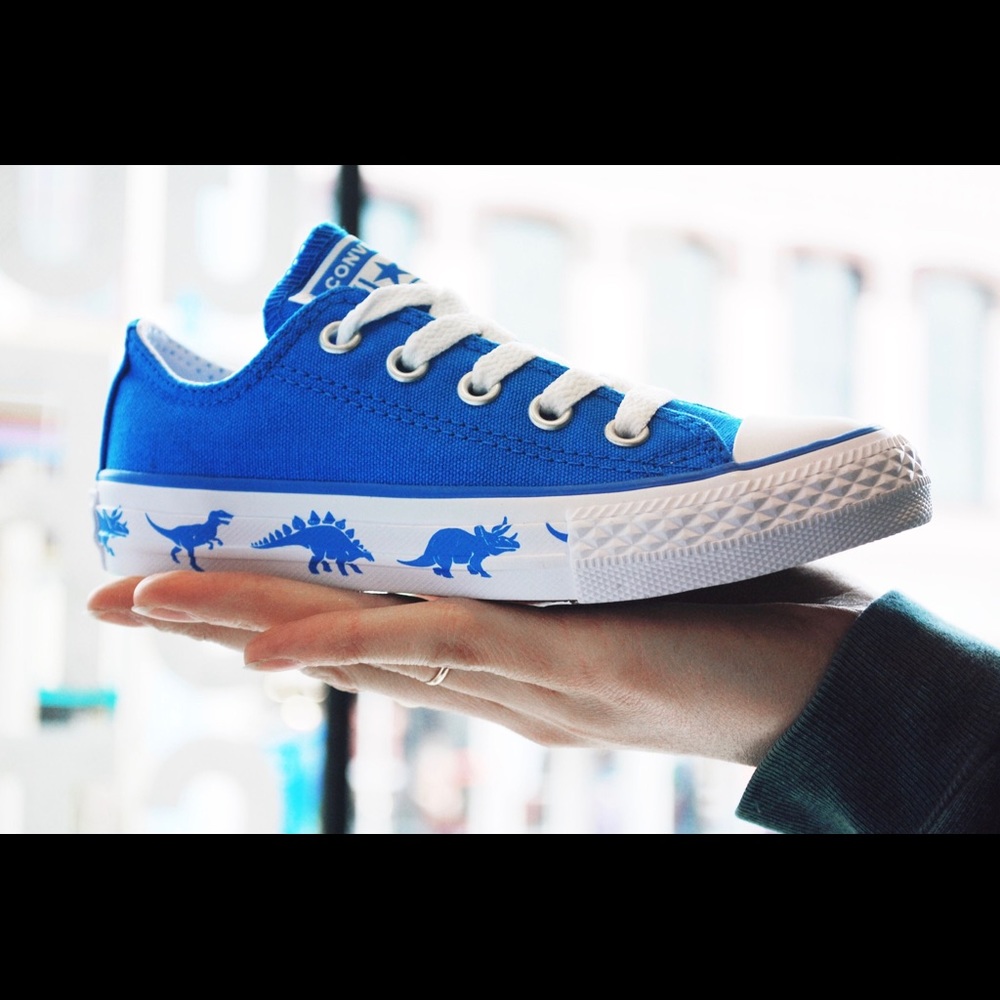 New chuck Taylor converse dinosaur lace up sneakers